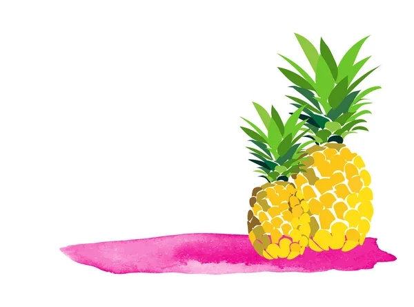 Piña Ilustración Vector Fondo Frutas Tropicales — Vector de stock