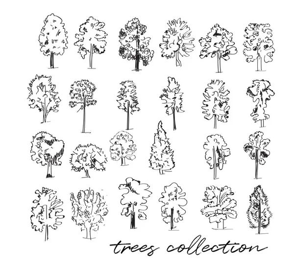 Bäume Vektorskizzen Sammlung Handgezeichnete Bäume Illustration — Stockvektor
