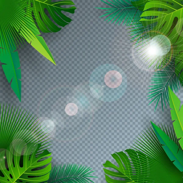 Ilustração de verão vetorial com folhas de palma tropicais em fundo transparente. Plantas exóticas e luz solar para banner de férias, folheto, convite, folheto, cartaz do partido ou cartão de saudação . — Vetor de Stock