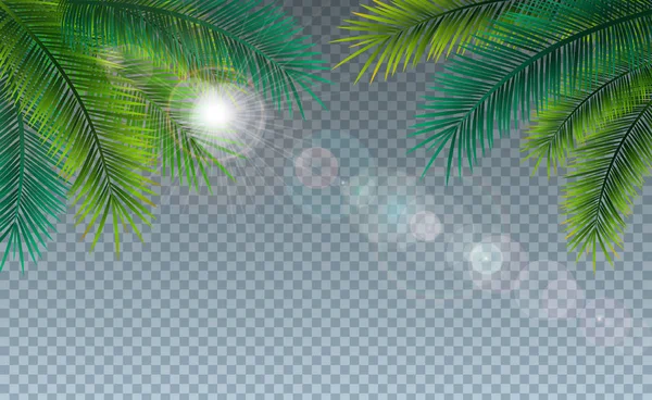 Vector zomer illustratie met tropische Palm bladeren op transparante achtergrond. Exotische planten en zonlicht voor vakantie banner, flyer, uitnodiging, brochure, partij poster of wenskaart. — Stockvector