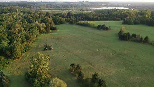 Campo Con Vista Aérea Bosque Lago Por Dron — Vídeos de Stock