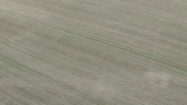Drone ile hasat havadan görünümü nden sonra hava dansı görüntüleri , Bu klip iki farklı derecelendirme mevcuttur , dlog 10bit renk veya dji renk lut . 