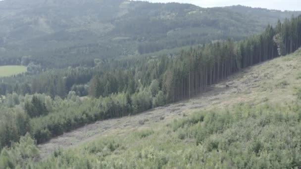 Wiesen Und Wälder Mittag Mitteleuropa Beskydy Luftaufnahme Drohne Dieser Clip — Stockvideo