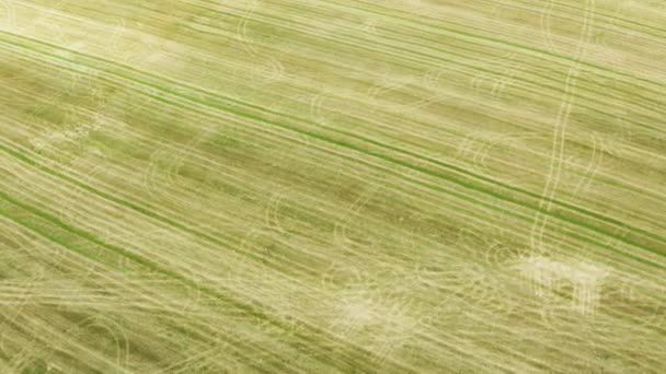 Images aériennes de terrain après la récolte vue aérienne par drone, Ce clip est disponible en deux gradations différentes, dlog 10bit couleur ou dji couleur lut  . 