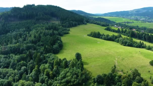 Wiesen Und Wälder Mittag Mitteleuropa Beskydy Luftaufnahme Drohne Dieser Clip — Stockvideo