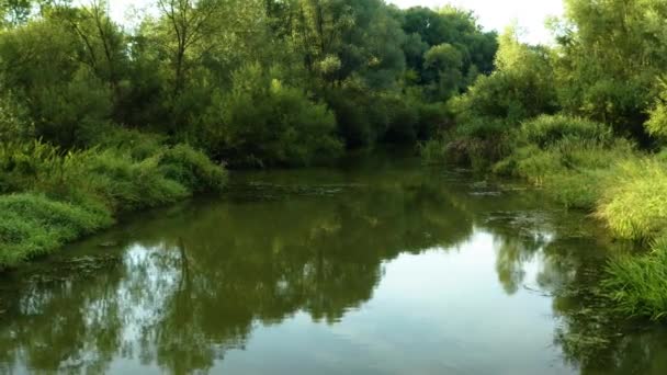 Floresta Inundada Com Lagoa Pântano Vista Aérea Por Drone — Vídeo de Stock