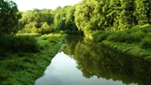 Elárasztott Erdő Tóval Mocsárból Légifelvétel Drone Ról — Stock videók