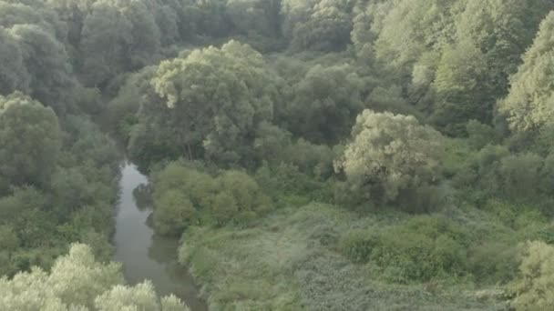 Floresta Inundada Com Lagoa Pântano Vista Aérea Por Drone — Vídeo de Stock