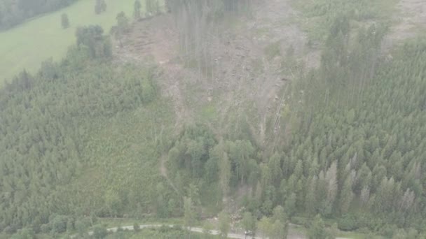 Drone Ile Güzel Çayırve Orman Hava Görünümü Klip Iki Farklı — Stok video