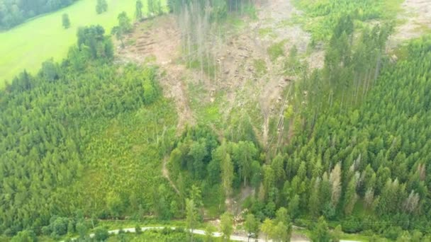 Gyönyörű Rétek Erdők Légi Megtekintéséhez Drone Klip Áll Rendelkezésre Két — Stock videók