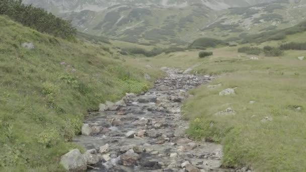 Tal Mit Flüssen Mit Felsen Der Hohen Tatra Dieser Clip — Stockvideo