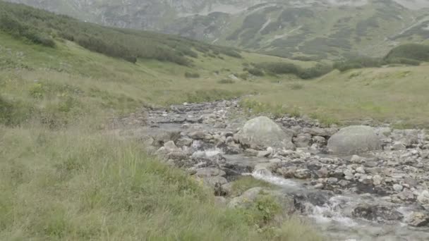 údolí s řekami ve Vysokých Tatrách, tento klip je k dispozici ve dvou různých odstupech, 10bitová barva nebo DJI barevný Lút 