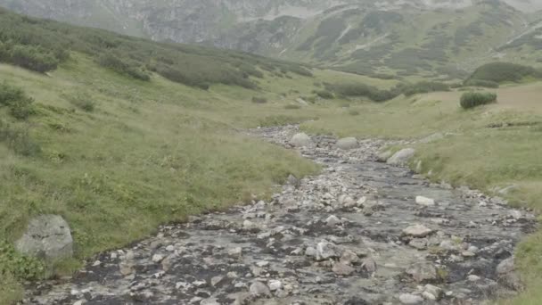 Vallei Met Rivieren Met Rotsen Hoge Tatra Deze Clip Beschikbaar — Stockvideo