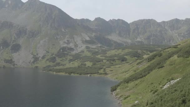 タトラ山脈の5つの湖の谷 ポーランドこのクリップは 2つの異なるグレーディング 10ビット色またはDji色のLutで利用可能です — ストック動画