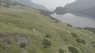 Tatra Dağları Beş Göller Vadisi , Polonya Bu klip iki farklı derecelendirme mevcuttur , 10bit renk veya dji renk lut 
