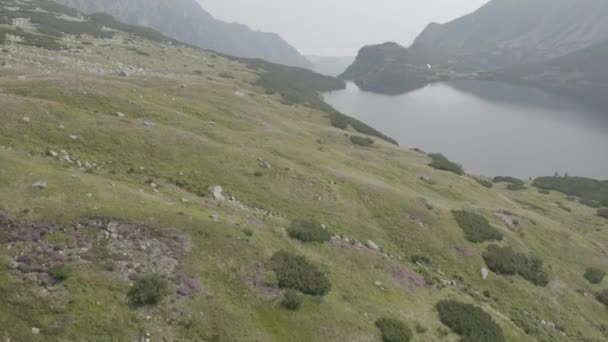 Valley Five Lakes Tatra Mountains Poland Clip Available Two Different — Stock Video