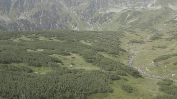 Valley Five Lakes Tatra Mountains Poland 10Bit Color Dji Color — Stock Video
