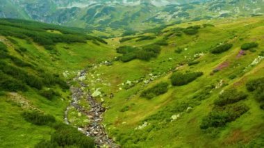 Yüksek Tatras kayalar ile nehirler ile vadi , Bu klip iki farklı derecelendirme mevcuttur , 10bit renk veya dji renk lut 
