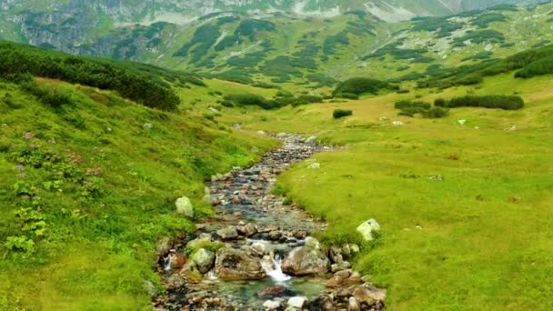 Valle Con Ríos Con Rocas Los Altos Tatras Este Clip — Vídeos de Stock