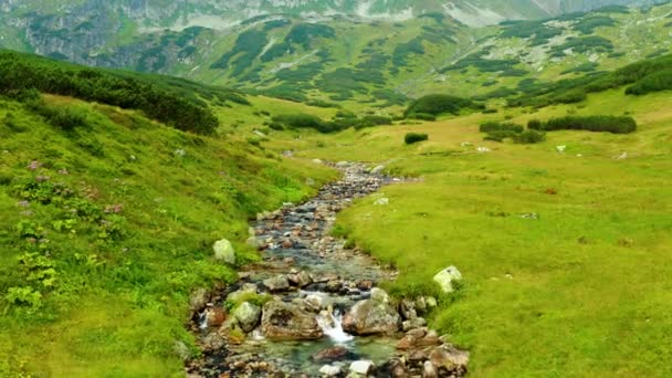 údolí s řekami ve Vysokých Tatrách, tento klip je k dispozici ve dvou různých odstupech, 10bitová barva nebo DJI barevný Lút 
