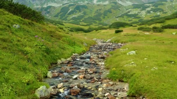 Valle Con Fiumi Con Rocce Negli Alti Tatra Questa Clip — Video Stock