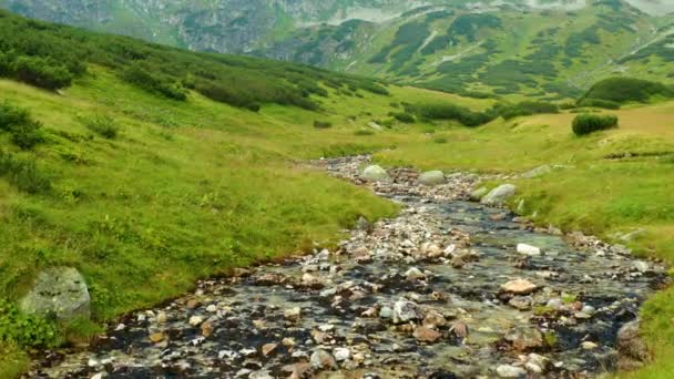 Vale Com Rios Com Rochas Tatras Alto Este Clipe Está — Vídeo de Stock