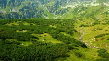 Tatra Dağları Beş Göller Vadisi , Polonya, 10bit renk veya dji renk lut 
