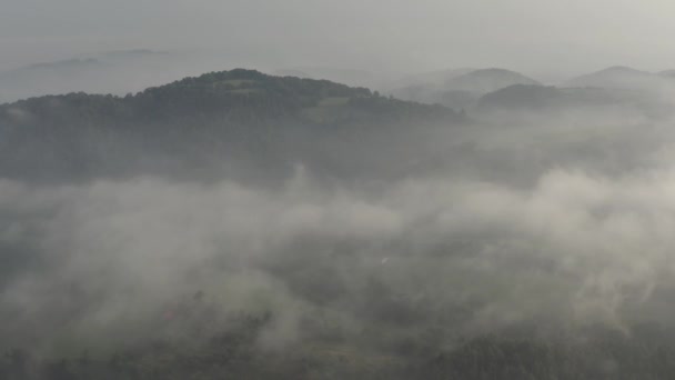 日の出に霧が立ちこめた森林と野原の空中映像 モラヴィアヌシレジア ベスキッズ チェコ この音のモラブスコレスレススク ベスキーディ スロバキア モラブスコ スリエスケ ベスキーディ — ストック動画