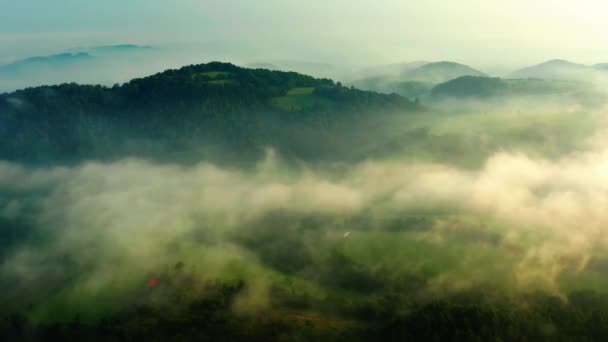 Luftaufnahmen Von Wald Und Feld Mit Nebel Bei Sonnenaufgang Das — Stockvideo
