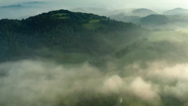 Zdjęcia Lotnicze Lasu Pola Mgłą Wschodzie Słońca Beskidy Moravianśląskie Czeski — Wideo stockowe