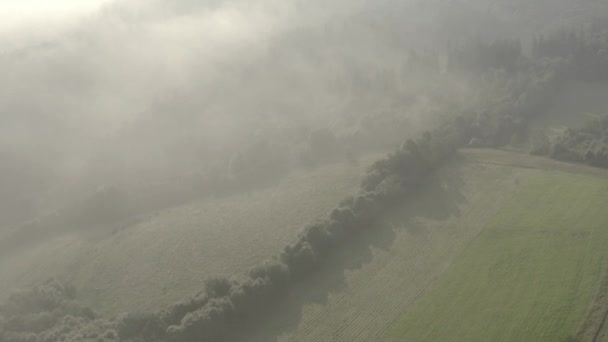 Повітряні Кадри Лісу Поля Туманом Сході Сонця Моравіанссілезькі Бескиди Чехія — стокове відео