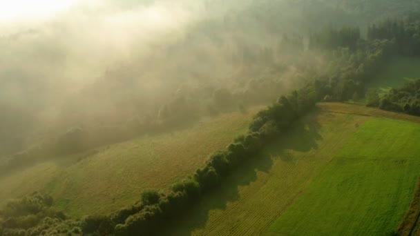 日の出に霧が立ちこめた森林と野原の空中映像 モラヴィアヌシレジア ベスキッズ チェコ この音のモラブスコレスレススク ベスキーディ スロバキア モラブスコ スリエスケ ベスキーディ — ストック動画