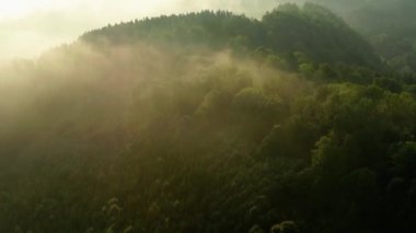gün doğumunda sis ile orman ve alan havadan görüntüleri, Morviansilesian Beskids (Çekçe: Bu soundmoravskoslezsk Beskydy hakkında, Slovakça: Moravsko-sliezske Beskydy) Slovakya ulaşan küçük bir parçası ile Çek Cumhuriyeti'nde bir dağ sırası