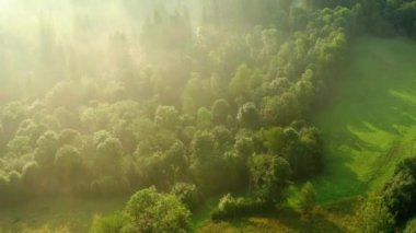 gün doğumunda sis ile orman ve alan havadan görüntüleri, Morviansilesian Beskids (Çekçe: Bu soundmoravskoslezsk Beskydy hakkında, Slovakça: Moravsko-sliezske Beskydy) Slovakya ulaşan küçük bir parçası ile Çek Cumhuriyeti'nde bir dağ sırası