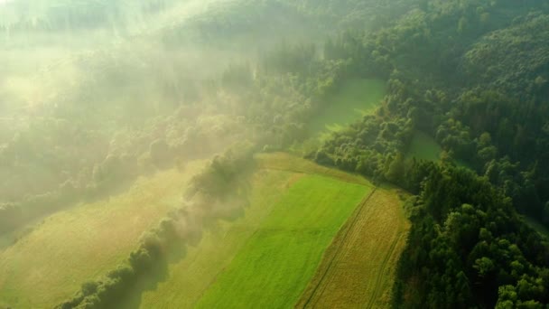 日出时有雾的森林和田野的空中镜头 摩拉维亚西里斯贝斯基奇 关于这个声音莫拉夫斯科斯茨克贝斯基迪 斯洛伐克 莫拉夫斯科 斯利兹斯克贝斯基迪 是捷克共和国的山脉 一小部分到达斯洛伐克 — 图库视频影像