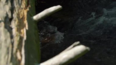 Orman Deresi Yolu Taşlar , jeseniky , çek