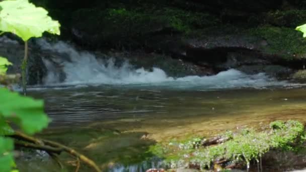 Forest Stream Väg Genom Stenarna Jeseniky Tjeckiska — Stockvideo