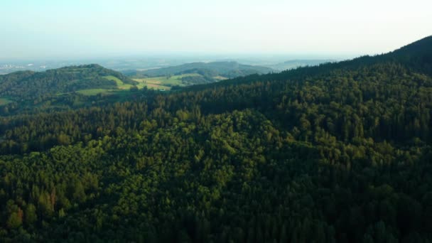 森と山の空中映像 — ストック動画