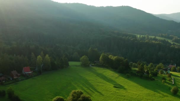 森林和山脉的空中镜头 — 图库视频影像