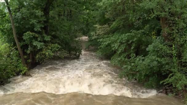 Alluvione Ruscello Inondazioni Beskydy Ceco — Video Stock