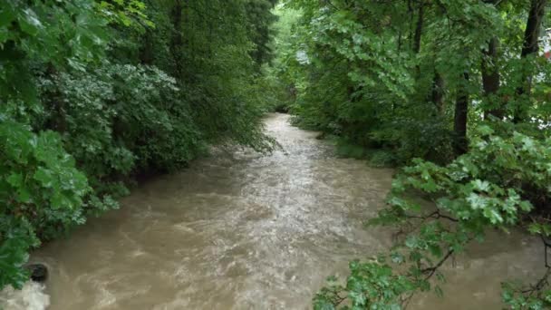 Alluvione Ruscello Inondazioni Beskydy Ceco — Video Stock