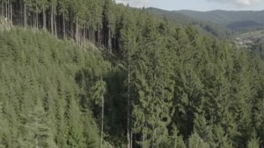 Velke karlovice beskydy çek dağların üzerinde havadan görünümü, Bu klip iki farklı derecelendirme mevcuttur , 10bit renk veya dji renk lut 