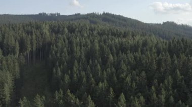 Velke karlovice beskydy çek dağların üzerinde havadan görünümü, Bu klip iki farklı derecelendirme mevcuttur , 10bit renk veya dji renk lut 