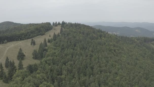 Widok Góry Velke Karlovice Beskidy Czech Ten Klip Jest Dostępny — Wideo stockowe