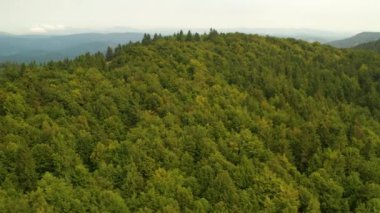 Velke karlovice beskydy çek dağların üzerinde havadan görünümü, Bu klip iki farklı derecelendirme mevcuttur , 10bit renk veya dji renk lut 
