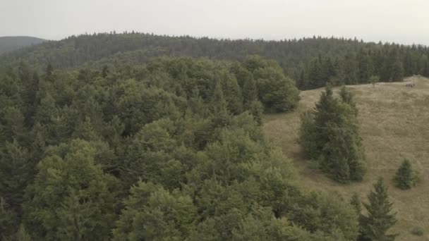 Vista Aérea Sobre Las Montañas Velke Karlovice Beskydy Checo Este — Vídeos de Stock