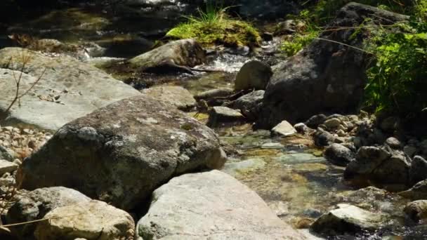 Fließender Bach Den Bergen Tatry Berge Slowakei — Stockvideo