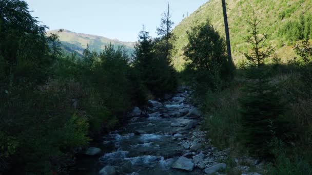 Ποταμός Που Ρέει Βουνά Tatry Σλοβακία — Αρχείο Βίντεο