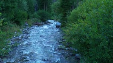 Dağlarda akan nehir, Tatry dağları, Slovakya
