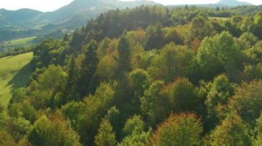 Dağlarda muhteşem bir sonbahar günü 